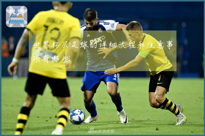 世界杯买足球的详细流程和注意事项有哪些