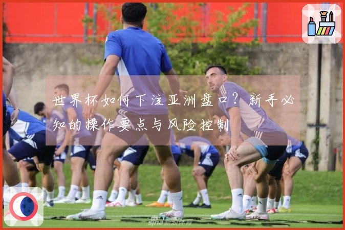 世界杯如何下注亚洲盘口？新手必知的操作要点与风险控制
